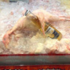 Meet your Posher, Steed